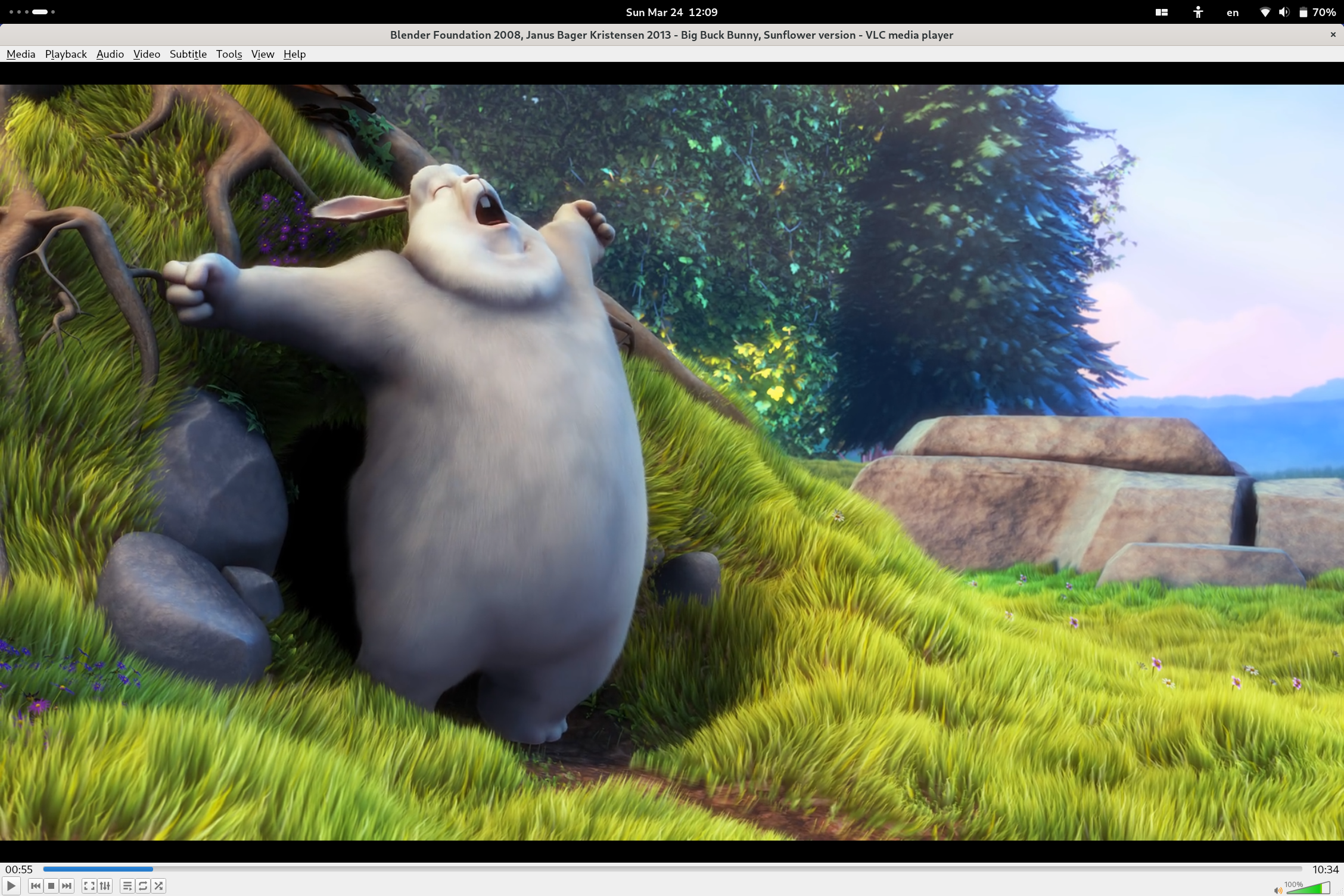 VLC playing Big Buck Bunny over BitTorrent